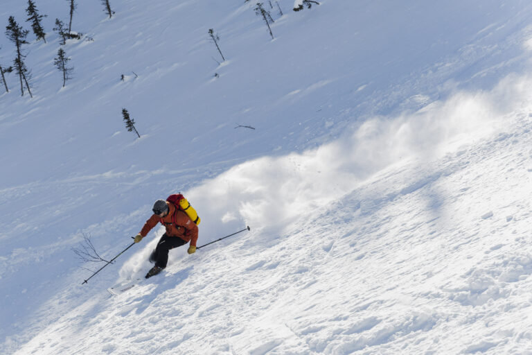 Ferreol Skis with ampliTex flax fibre reinforcements