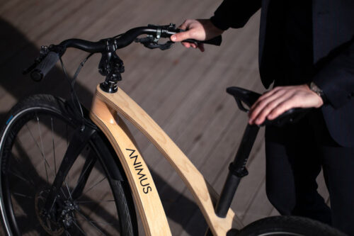 Animus wood and carbon bike