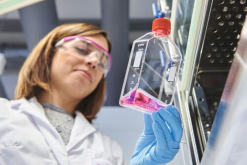 Evonik launches high-performance phosphate methacrylate VISIOMER® HEMA-P 100