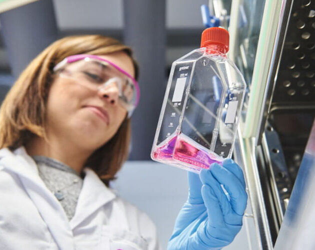 Evonik launches high-performance phosphate methacrylate VISIOMER® HEMA-P 100