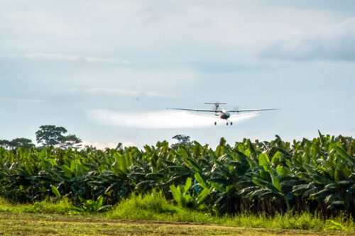 Pyka and Dole successfully complete trial phase of autonomous spray aircraft